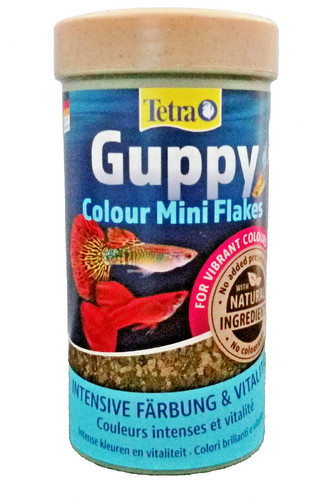 Tetra guppy colour mini - tetra,