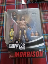 Wwe Survivor Series John