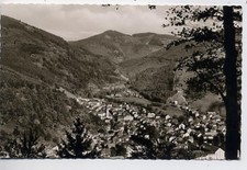 Todtnau Gesamtansicht gl1963