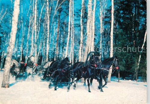 Pferdeschlitten russische - pferdeschlitten,