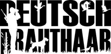 Deutsch drahthaar - deutsch,