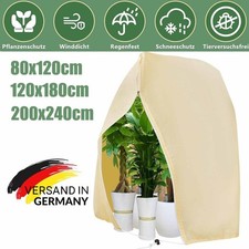 2 Stück Set XXL Pflanzen