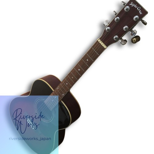 Elektroakustische gitarre - elektroakustische,