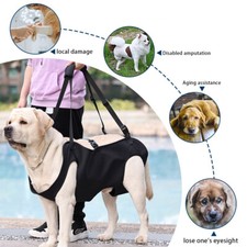 Tragehilfe älterer Hunde