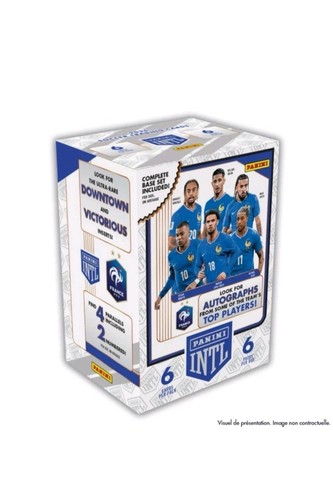 Panini intl france - intl,