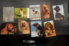 Foto Portrait Postkarte