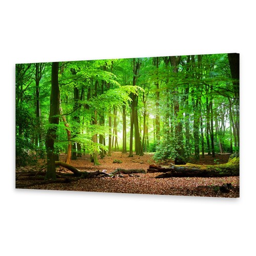 Leinwand bilder wandbild druck - leinwand-bilder,