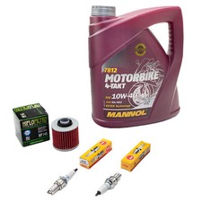 4L Öl Inspektionspaket für