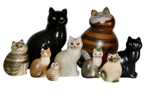 Eine seltene graue katze - seltene,