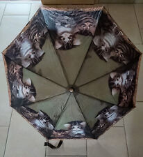 Regenschirm mit Katzenmotiven          (B)