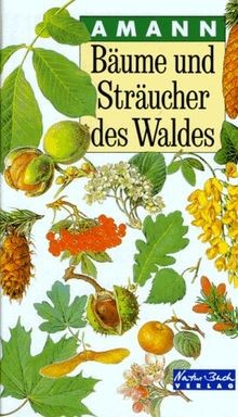 Bäume und sträucher des - und,
