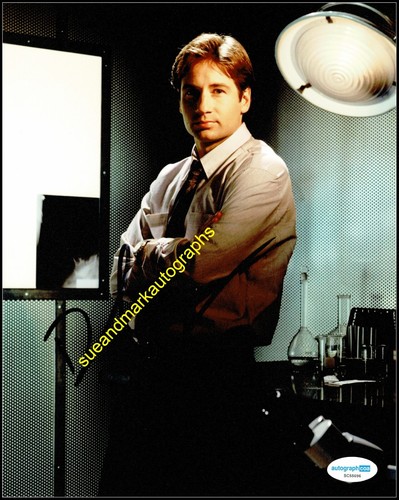 David duchovny files - files, fox