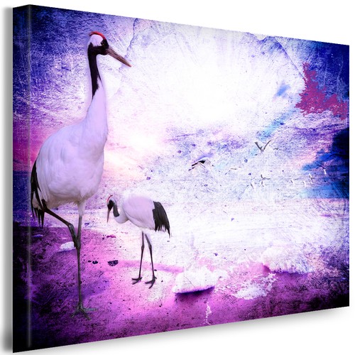Leinwandbild kranich vogel - leinwandbild,