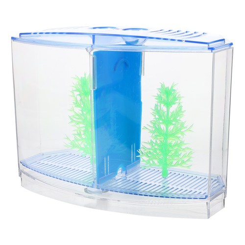 Betta aquarium - , betta-aquarium