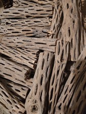 50 6" Prewashed Cholla Sticks