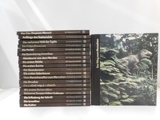 Die Frühzeit des Menschen 20