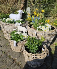 4er Set Van der Leeden Drypot