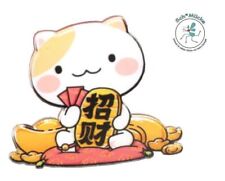 Anstecker Glücksbringer Katze Winkekatze Maneki-Neko Anime Talisman Geschenkidee