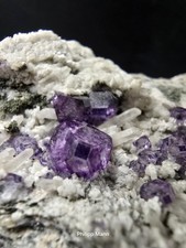 Fluorit XX Oktaeter lila Mit Bergkristall und Adular aus Dörfel Max Bögel...