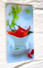 ACRYLBILD BILD LEINWAND KEILRAHMEN 30x60cm wie NEU Wanddeko Plexiglas Bilderrahm