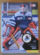 DEL 2023/24 Iserlohn Roosters Team Set Hauptserie Komplett 25 Karten !!!