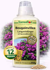 Dünger Bougainvillea
