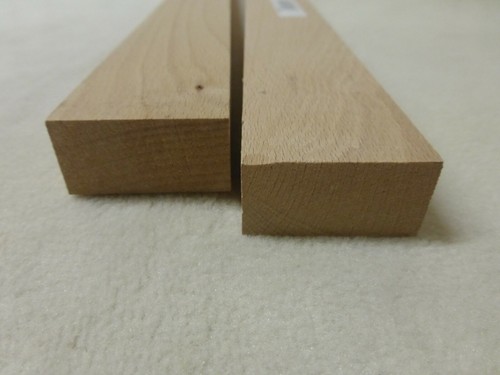 1stk 100cm buche - 100cm,