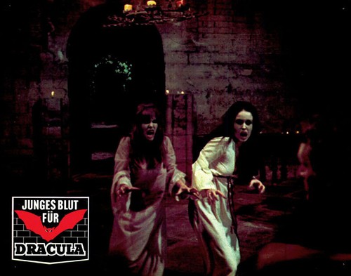 Junges blut für - blut,