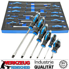 12-tlg Kraft Schraubendreher Schraubenzieher Satz Mit Werkstatt Wagen Einlage