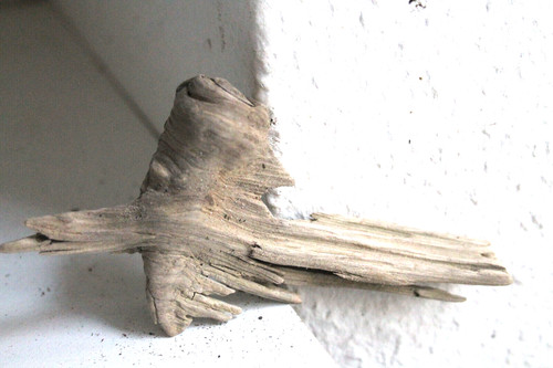 Schwemmholz treibholz skulptur - treibholz,