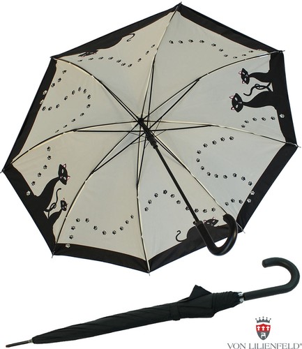 Regenschirm stockschirm - regenschirm,