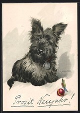 Künstler-AK Kleiner Scotchterrier mit Hundemarke 