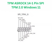 TPM 2.0 ASROCK 14-1 pin SPI | Trusted Platform Modul | Windows 11 | NEU