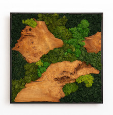 Moosbild mooswand 40cm - mooswand, l