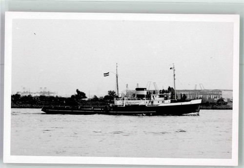 38229131 rotterdam - 38229131,