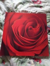 Bild Druck auf Leinwand  Rote Rose glänzend Deko