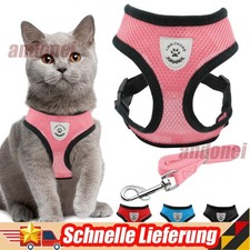 Katzengeschirr mit Leine