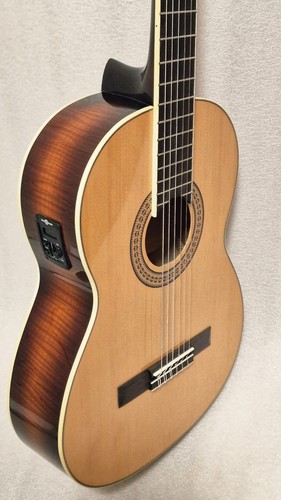Deluxe single cutaway - single,