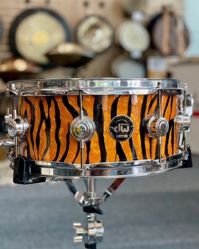 Collector maple snaredrum - dw,