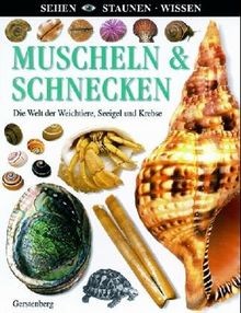 Sehen staunen wissen - -,