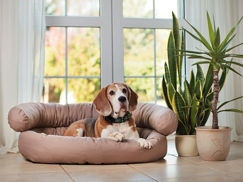 Hundebett große kleine