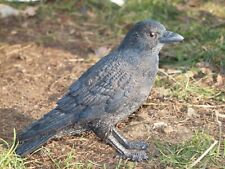 Dohle Krähe Deko Figur