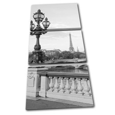 Paris Landscape Black White