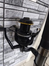 Berkley Welsrute 2 70 CM 400g