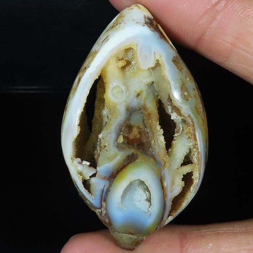 147 cts natürlich fossil - 147.00,