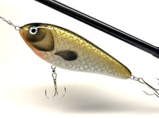 Jerkbait, Wobbler, Hecht