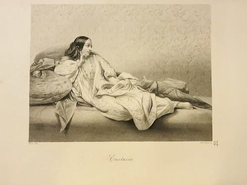 Eustasia dame orientalisch - eustasia,
