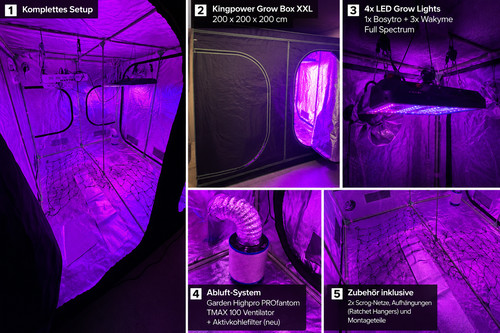Xxl grow complete - grow,