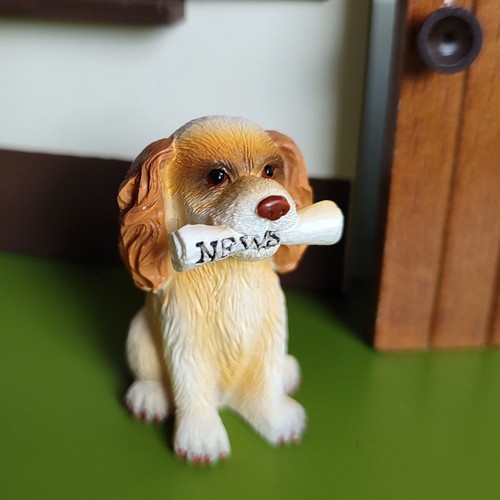Miniatur hund mit - hund, zeitung