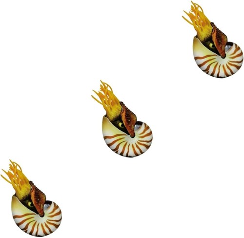 Pretyzoom stück - pretyzoom, 3